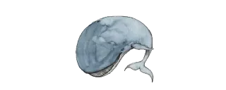 ☺️ Wal, Tier, Säugetier, Meeresbewohner, Ozean telegram sticker