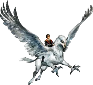 Harry P. by @sticker_telegram whatsapp stickers