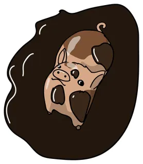 😍 cerdo, barro, lindo, animal, dibujos animados, granja, tonto whatsapp sticker