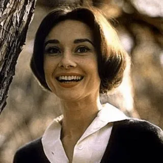 ➿ mulher, atriz, retrato, sorrindo, Audrey Hepburn, clássico, retro telegram sticker