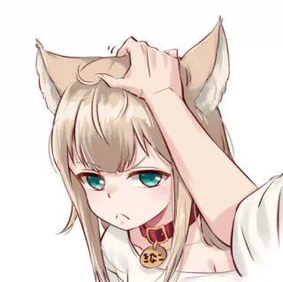 🐾 きなこ Ragazza anime, Orecchie da gatto, Kemonomimi, Collare, Carino, Anime whatsapp sticker