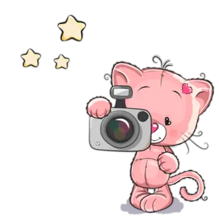👐 gatto, fotografia, cartoni animati, animale, stelle, carino, rosa whatsapp sticker