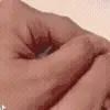 🐱