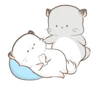 😉 cincillà, carino, animale, animale domestico, cartone animato telegram sticker