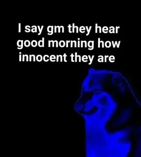 😈 I say gm they hear
good morning how
innocent they are doge, mem, gm, dzień dobry, niewinny whatsapp sticker