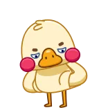 🤷‍♀️ telegram sticker