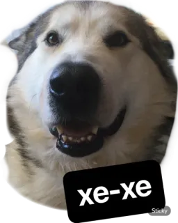 😃 xe-xe dog, happy, pet, sticker, animal, cute whatsapp sticker