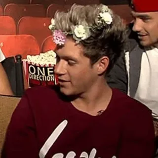 🌙 ONE DIRECTION One Direction, Niall Horan, Popcorn, Blumenkranz, Boyband, Unterhaltung telegram sticker