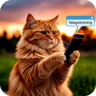 🐱 Telegramming cat, fluffy, smartphone, telegram, chatting, sunset, ginger cat whatsapp sticker