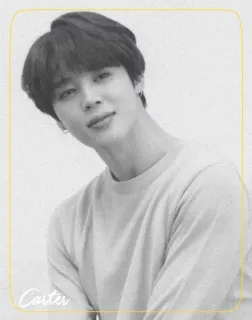 ◾️ Carter retrato, pessoa, homem, celebridade, cantor whatsapp sticker