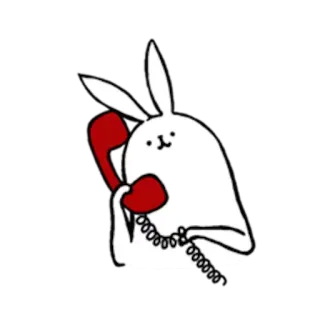 📞 lapin, téléphone, mignon, dessin animé, animal, communication whatsapp sticker