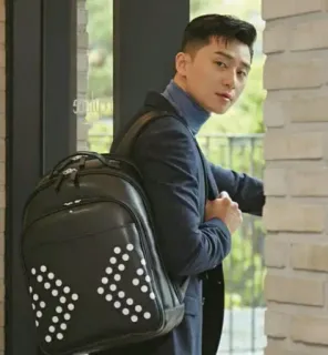 🎒 Park Seo-joon Aktor Korea, Aktor, Selebriti, Ransel, Mode, Gaya telegram sticker