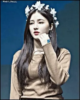 🐣 Windy's_Dayzzz 女性, ポートレート, 美人, 花冠, 可愛い, 韓国 telegram sticker