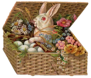 🐇 Pasqua, coniglio, cesto, uova, fiori, primavera whatsapp sticker