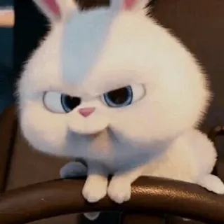 🍓 Snowball The Secret Life of Pets กระต่าย, ตัวร้าย, การ์ตูน, โกรธ, น่ารัก, คาวาอิ telegram sticker