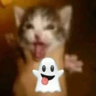 👻 cat, ghost, emoji, kitten, funny, cute whatsapp sticker