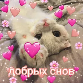 😴 добрых снов 猫, ハート, 愛, 可愛い, 花 telegram sticker