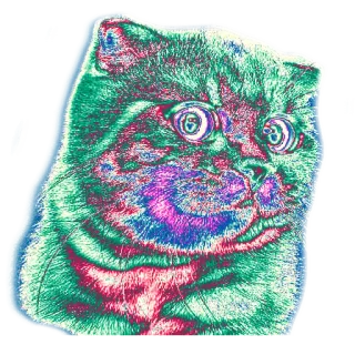 🌈 แมว, สัตว์, สัตว์เลี้ยง, สติกเกอร์, ศิลปะดิจิทัล telegram sticker