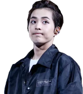 😌 EXO PLANET #5 kpop, exo, singer, music, performance telegram sticker