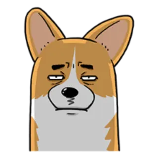 😐 corgi, dog, animal, meme, funny, cartoon, pet telegram sticker