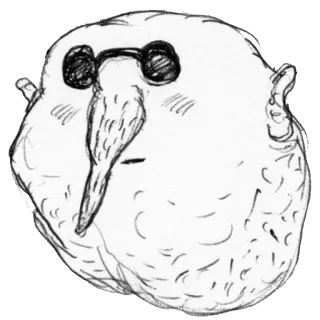 😐 pássaro, desenho, personagem, esboço, engraçado telegram sticker