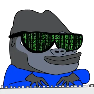 👩‍💻 macaco, óculos de sol, matrix, números, gorila, óculos, animal telegram sticker