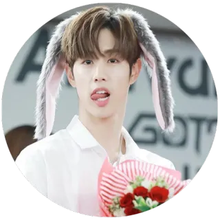 😋 kpop, pessoa, retrato, orelhas de coelho, flores, masculino telegram sticker