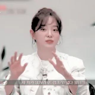 🦋 제 차가 SUV라 (트렁크가) 넓다 보니까 telegram sticker