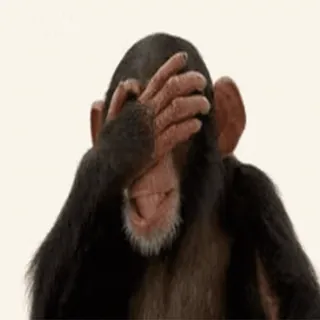 🤦♂ khỉ, không thấy, động vật, vượn, che mắt, cử chỉ telegram sticker