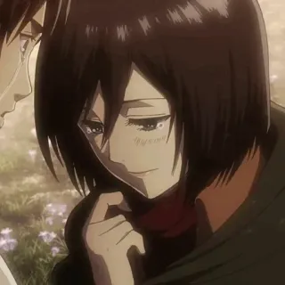 🤫 Mikasa Ackerman Attack on Titan anime, character, girl, tears, sad, scarf telegram sticker