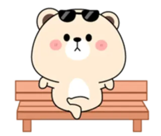 😕 ours, mignon, lunettes de soleil, assis, banc, dessin animé, animal whatsapp sticker