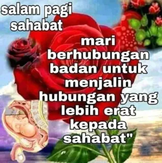 😍 salam pagi sahabat mari berhubungan badan untuk menjalin hubungan yang lebih erat kepada sahabat telegram sticker