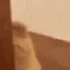 👀