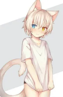MINSEOK_NEKO telegram stickers