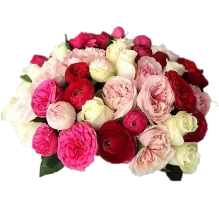 💐 ดอกไม้, ช่อดอกไม้, ดอกกุหลาบ, การจัดดอกไม้, ดอกกุหลาบ, ดอกคาร์เนชั่น whatsapp sticker