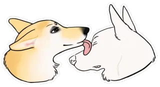 👅 anjing, corgi, cium, menjilat, binatang, lucu, kasih sayang telegram sticker