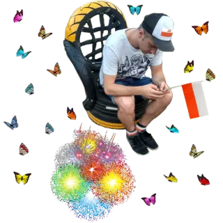 😍 fireworks, butterflies, person, chair, outdoors, summer telegram sticker
