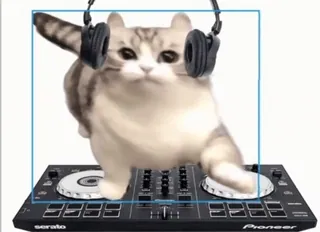 🌟 cat, DJ, music, turntable, headphones, animal, party, mix telegram sticker