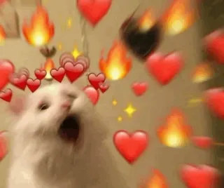 🐈 gatto, cuore, amore, fuoco, carino, animale, meme, kawaii whatsapp sticker