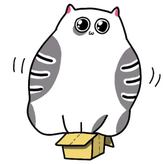 📦 แมว, กล่อง, น่ารัก, สติกเกอร์, สัตว์, สัตว์เลี้ยง telegram sticker