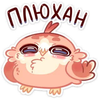 🤪 ПЛЮХАН oiseau, mignon, autocollant, hibou, dessin animé, duveteux whatsapp sticker
