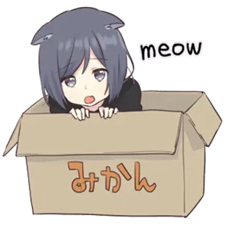 😺 meow gato, caja, anime, lindo, kawaii whatsapp sticker