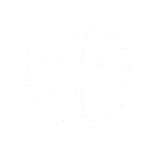 ❄️