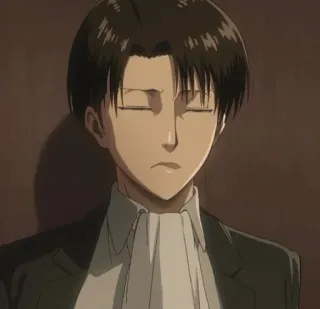 🥀 Levi Ackerman Attack on Titan Anime, Attack on Titan, Levi, Manga, Charakter telegram sticker