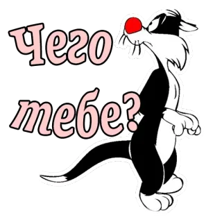 🙁 Sylvester Looney Tunes Чего тебе? kot, kreskówka, sarkastyczny, Looney Tunes, Sylwester telegram sticker