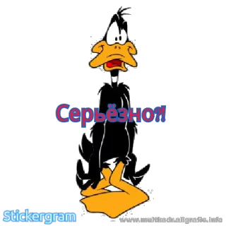 😳 Daffy Duck Серьёзно! Cartoon, Ente, Überraschung, Russisch telegram sticker
