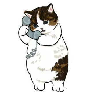 📞 gato, teléfono, animal, lindo, ilustración whatsapp sticker