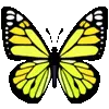 🦋