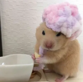 🛁 hamster, cute, animal, pet, hat, rodent telegram sticker