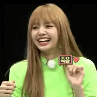 🌿 죽음 coreano, palavra, texto, morte, frase telegram sticker